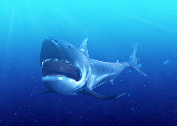 3dsMax_Shark_PT3_85b