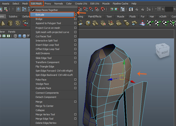 Edit Mesh  Extrude