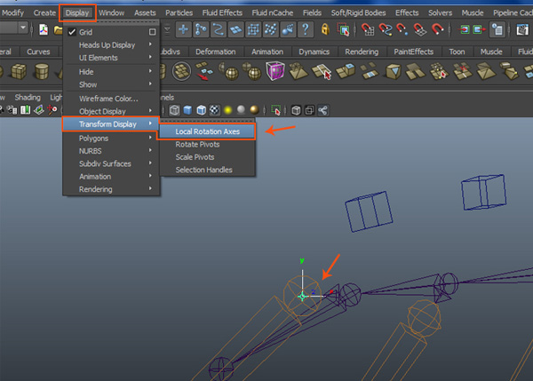 Display  Transform Display  Local Rotation Axis