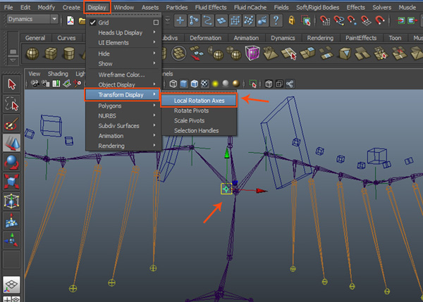 Display  Transform Display  Local Rotation Axes