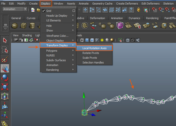 Display  Transform Display  Local Rotation Axes