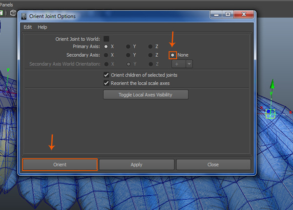 Display  Transform Display  Local Rotation Axes