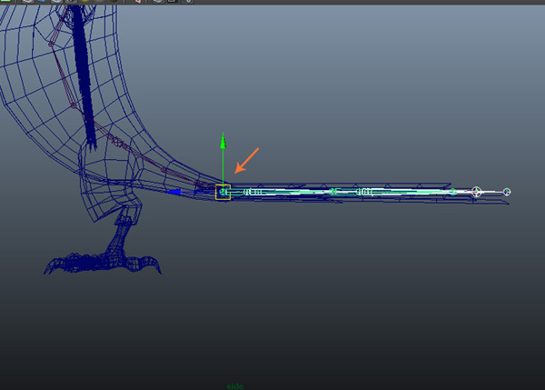 Place the joints inside the tail mesh