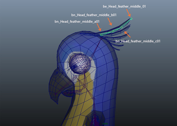 Create three joints inside the top feather