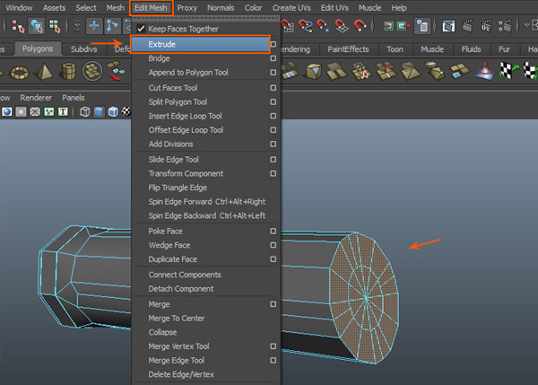 Edit Mesh  Extrude