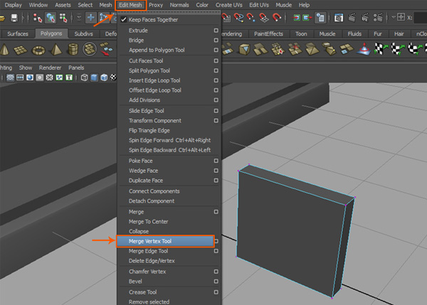 Wedge Face Options window