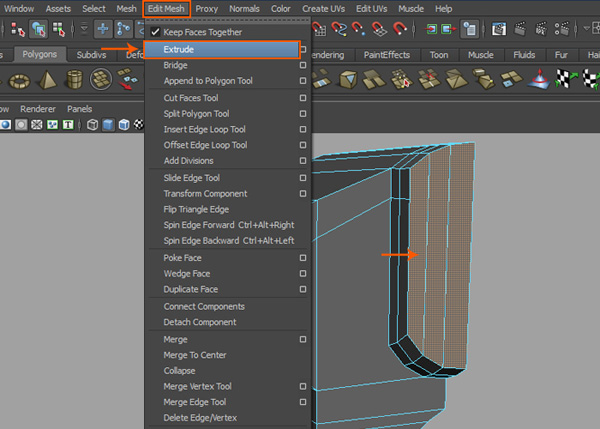 Edit Mesh  Extrude command