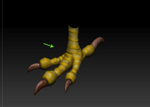 The finished claw