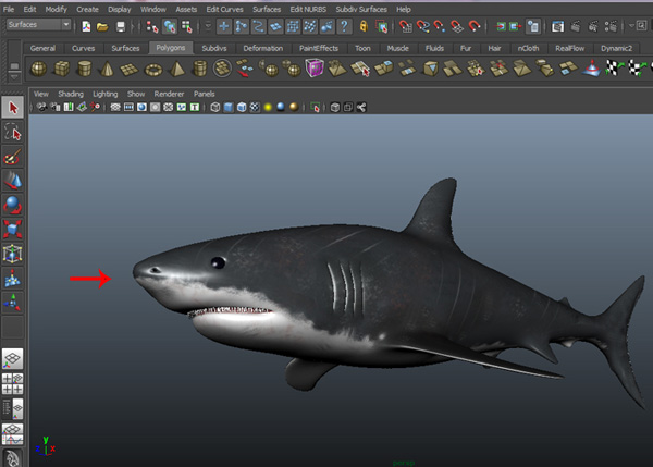 Maya_Shark_PT3_1