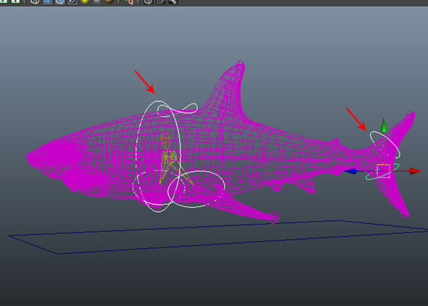 Maya_Shark_PT3_76