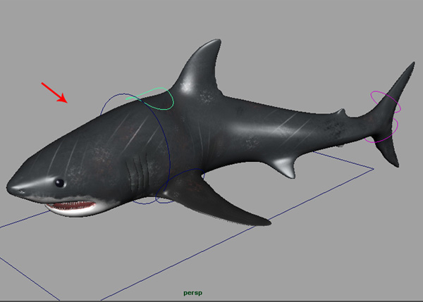 Maya_Shark_PT3_89