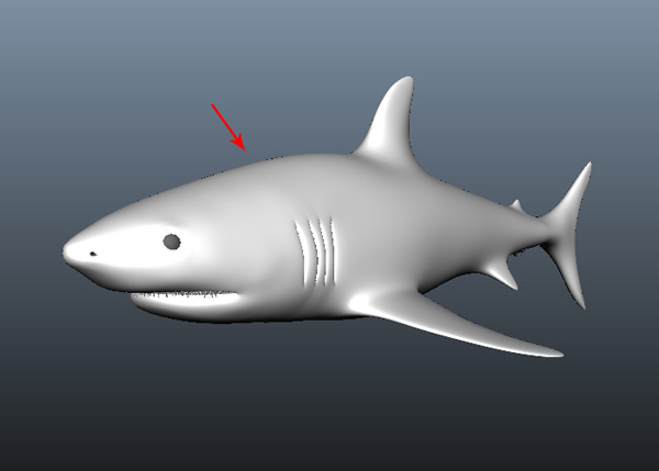 Maya_Shark_PT2_35