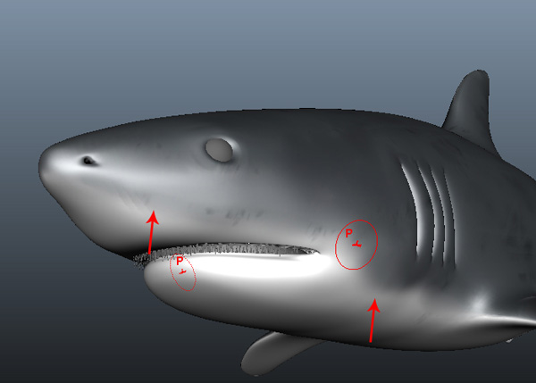 Maya_Shark_PT2_41