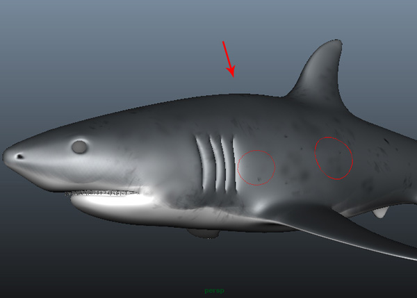 Maya_Shark_PT2_39