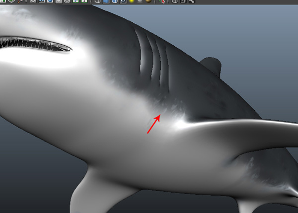 Maya_Shark_PT2_43