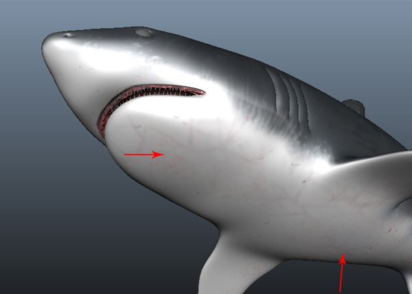 Maya_Shark_PT2_50