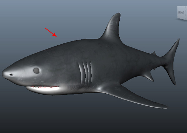 Maya_Shark_PT2_51