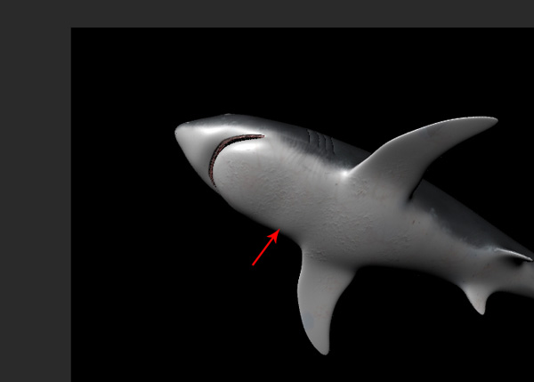 Maya_Shark_PT2_65