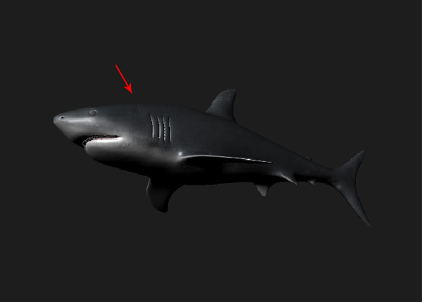 Maya_Shark_PT2_69