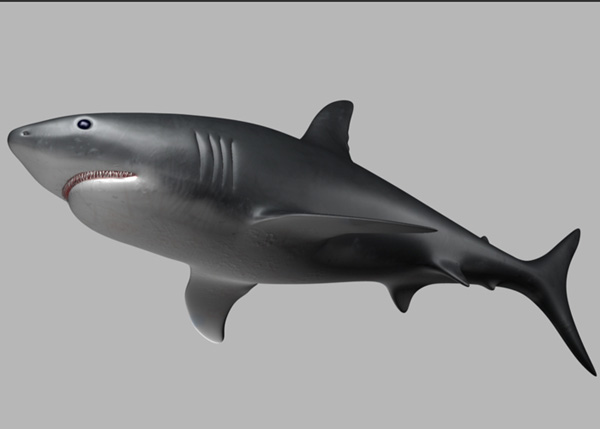 Maya_Shark_PT2_77