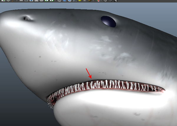 Maya_Shark_PT2_76