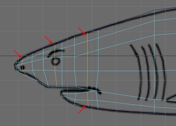 Maya_Shark_PT1_20