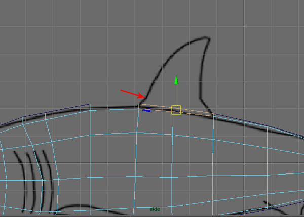 Maya_Shark_PT1_33