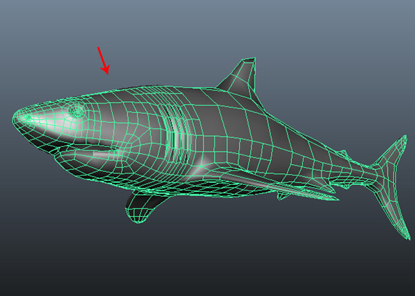 Maya_Shark_PT1_88