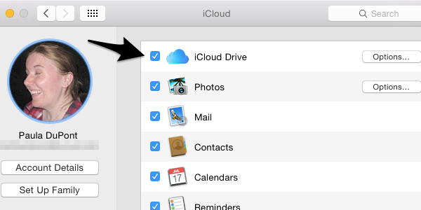 Make sure iCloud Drive is enabled