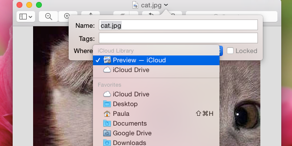 You can save files to iCloud Drive