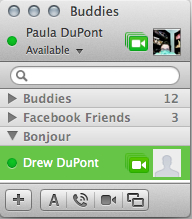 A green camera icon indicates that your buddy is available for video or voice chat.