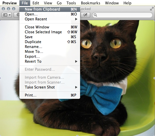 Create a new image from your clipboard's contents.