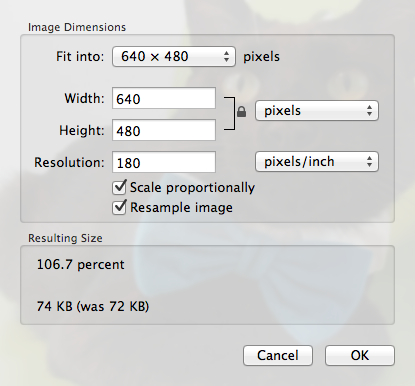 Resize your image using presets or custom dimensions.