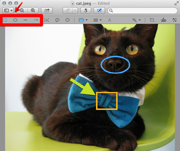 Add annotations to your image using shapes.