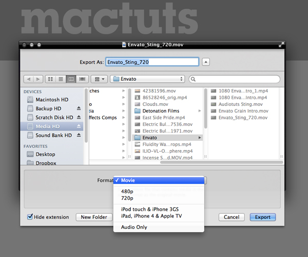 Selecting Export Will Allow You To Set More General Format Options