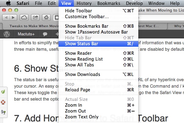 Safari Status Bar