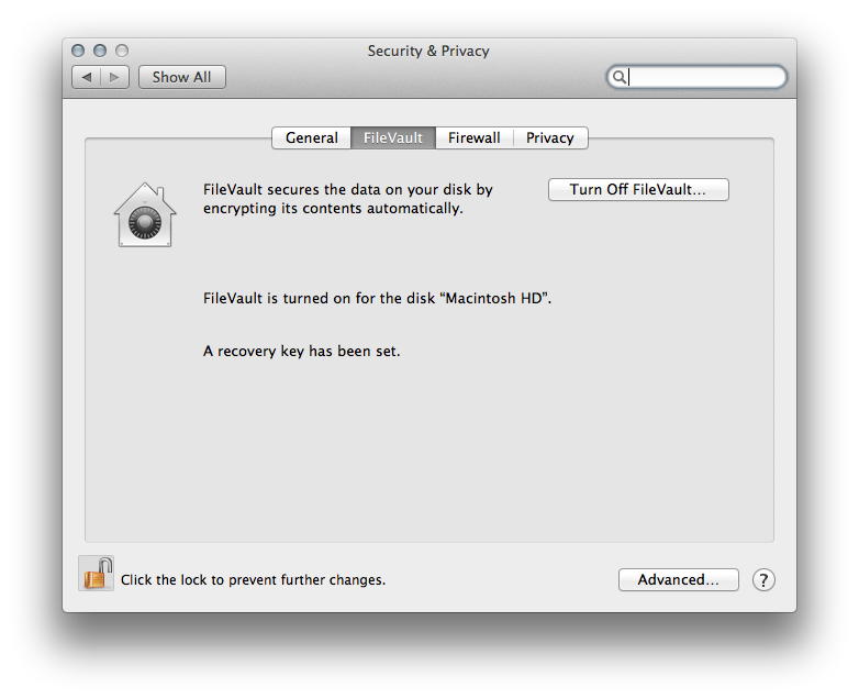 FileVault is a really secure way to encrypt your files.