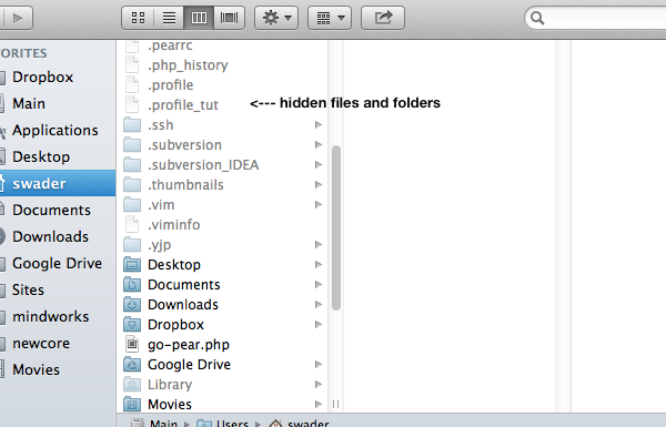 Visible hidden files and folders