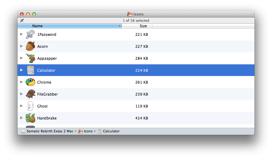 The icons will appear in your Finder window as empty folders. Select the calculator icon by clicking once to highlight it.