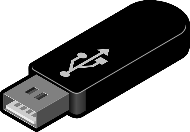 Backup - USB Flash -- Windows Wally