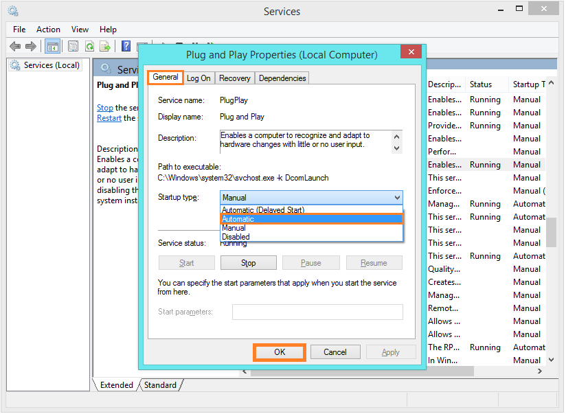 Empty Device Manager - Control Panel - Administrative Tools - Plug and Play - General - Automatic -- Windows Wally