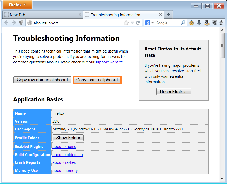 Help - Troubleshooting Information - Copy text to clipboard- WindowsWally